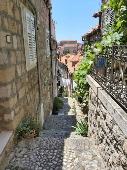 House Marija In Old Town Apartment Dubrovnik Ngoại thất bức ảnh