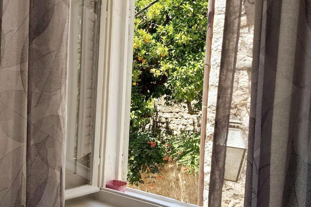 House Marija In Old Town Apartment Dubrovnik Ngoại thất bức ảnh